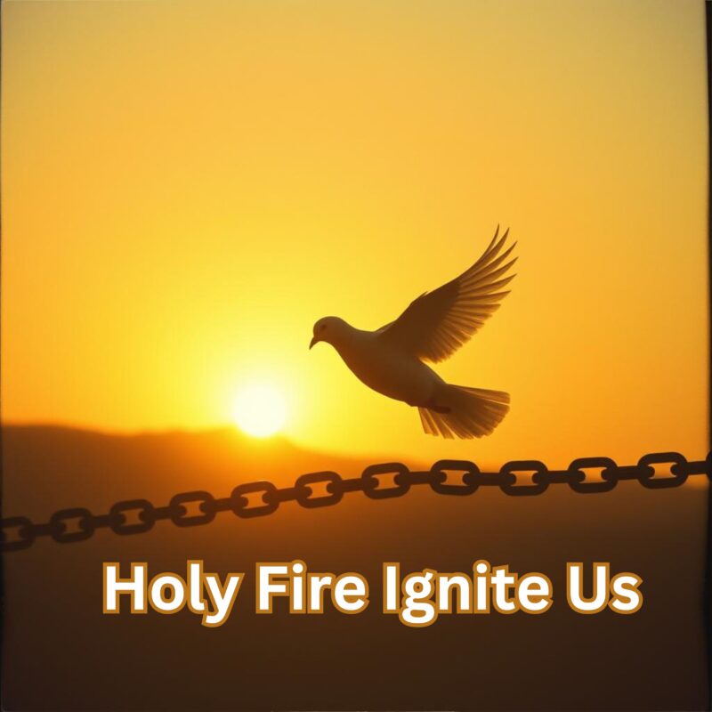 Holy Fire Ignite Us Music Single