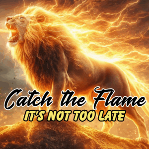 Catch the Flame MP3